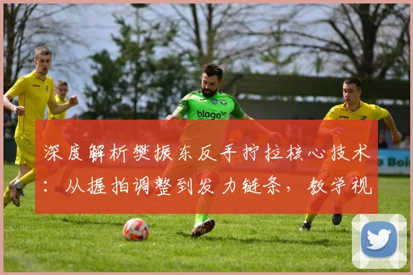 深度解析樊振东反手拧拉核心技术：从握拍调整到发力链条，教学视频细节全拆解