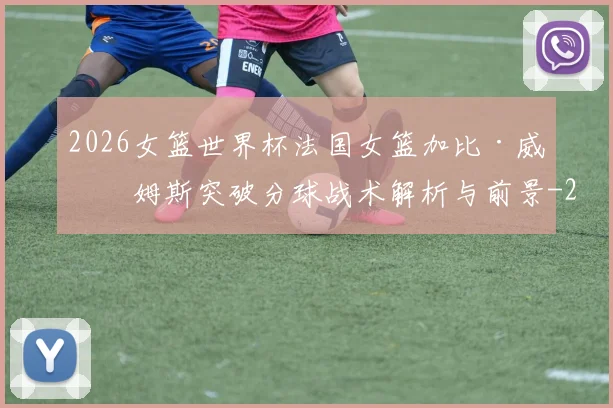 2026女篮世界杯法国女篮加比·威廉姆斯突破分球战术解析与前景